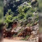 ADIYAMAN (PHA) - Adıyaman'ın Besni ilçesinde Su Gözü Orman Parkında, sürü halindeki dağ keçileri vatandaşlar tarafından görüntülendi.