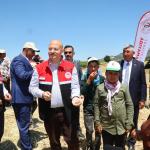 ADIYAMAN (PERRE) - Adıyaman'ın Gölbaşı ilçesinde, Türk mutfağının vazgeçilmez ürünleri arasında yer alan ve asırlardır sofralara lezzet katan firik bulgurunda hasat başladı.