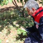 ADIYAMAN (PHA) - Tarım ve Orman İl Müdürü Abdulkadir Akkan, dolu nedeniyle zarar gören alanlarda incelemede bulundu.