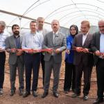 ADIYAMAN (PHA) - Adıyaman İl Milli Eğitim Müdürlüğünün organizasyonunda, Adıyaman Valiliği katkıları ve Zakat Foundation of America’nın destekleriyle Adıyaman Tarım Mesleki ve Teknik Anadolu Lisesi bahçesinde kurulan 500...