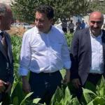 ADIYAMAN (PHA) - Gülbahar SÜNGÜ - DEVA Partisi Adıyaman İl Başkanı Mehmet Anaç, Çelikhan başta olmak üzere Adıyaman genelinde tütün üreticilerinin karşılaştığı sorunlara ilişkin sert bir açıklamada bulundu.