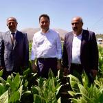 ADIYAMAN (PHA) - Gülbahar SÜNGÜ - DEVA Partisi Adıyaman İl Başkanı Mehmet Anaç, Çelikhan başta olmak üzere Adıyaman genelinde tütün üreticilerinin karşılaştığı sorunlara ilişkin sert bir açıklamada bulundu.