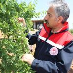 ADIYAMAN (PHA) - Tarım ve Orman İl Müdürü Abdulkadir Akkan, dolu nedeniyle zarar gören alanlarda incelemede bulundu.