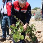 ADIYAMAN (PHA) - Tarım ve Orman İl Müdürü Abdulkadir Akkan, dolu nedeniyle zarar gören alanlarda incelemede bulundu.