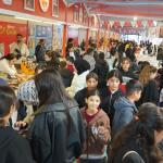 ADIYAMAN (PERRE) - (Berfin GÜRBÜZ-Behçet ATABEK) - Kahta Belediyesi tarafından bu yıl ilk kez düzenlenen Kahta Kitap Günleri, özellikle çocukların yoğun ilgisiyle renkli görüntülere sahne oldu.