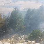 ADIYAMAN (PHA) - Mustafa TEKİN - Adıyaman’ın İndere bölgesinde, kalıcı deprem konutlarının inşaat alanına yakın bir noktada çıkan yangın paniğe neden oldu.
