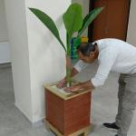 ADIYAMAN (PERRE) - (Fahrettin ÇELİK) - Samsat Safvan Bin Muattal Anadolu İmam Hatip Lisesi'nde görevli temizlik personeli Seyfettin Çelik, okulda kullanılmayan ve atıl durumdaki malzemeleri geri dönüştürerek okula esteti...