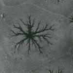 ADIYAMAN (PERRE) - Musa GÜRBÜZ - Adıyaman'ın Çelikhan ilçesinde kış aylarında donan Çat Barajı Gölü'nde, havaların ısınmasıyla birlikte buz tabakasının çözülmeye başlaması sonucu "aneiforma" olarak adlandırılan dikkat çe...