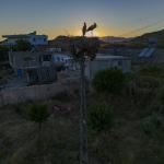 ADIYAMAN (PERRE) - (Musa GÜRBÜZ) - Adıyaman'ın Kızılcapınar Köyü civarında baharın ilk leylekleri görüntülendi.