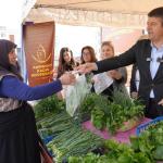 ADIYAMAN (PERRE) - Şeriban ÖZÇAKMAK - Adıyaman Belediyesi'nin sebze üretim merkezinde 6 ayda 14 bin 285 deste sebze ve yeşillik vatandaşlara uygun fiyatlarla ulaştırıldı.