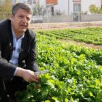 ADIYAMAN (PERRE) - Şeriban ÖZÇAKMAK - Adıyaman Belediyesi'nin sebze üretim merkezinde 6 ayda 14 bin 285 deste sebze ve yeşillik vatandaşlara uygun fiyatlarla ulaştırıldı.