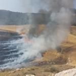 ADIYAMAN (PHA) - Murat KAYIŞ – Adıyaman’da hava sıcaklıklarının mevsim normallerinin üzerinde seyrettiği günlerde bir yangın haberi daha geldi.