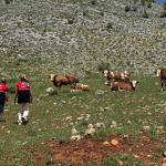 ADIYAMAN (PERRE) - Şeriban ÖZÇAKMAK - Adıyaman'ın Çelikhan ilçesi Çampınar Köyü sınırlarında yer alan meralarda, Dünya Bankası destekli TARDİP projesi kapsamında yerinde incelemeler gerçekleştirildi.